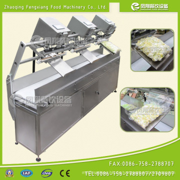 Fsdz-3 Streamlined Vacunnm (Gas Spülung) Verpackungsmaschine, Vakuumverpackungsmaschine für Gemüse Fleisch Fisch Knoblauch Onon Kartoffel Karotten Nüsse Bohnen Reis Tee etc